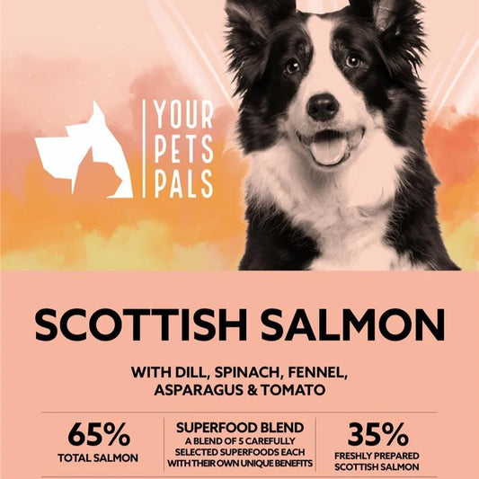2 x 12kg Adult Dog Scottish Salmon Dinner with Dill