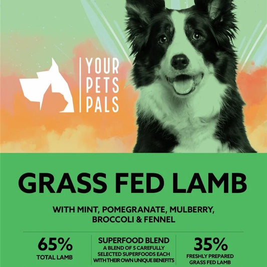 2 x 12kg Adult Dog Grass Fed Lamb Dinner with Mint