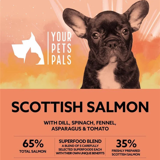 12kg Scottish Salmon Puppy Dinner with Dill